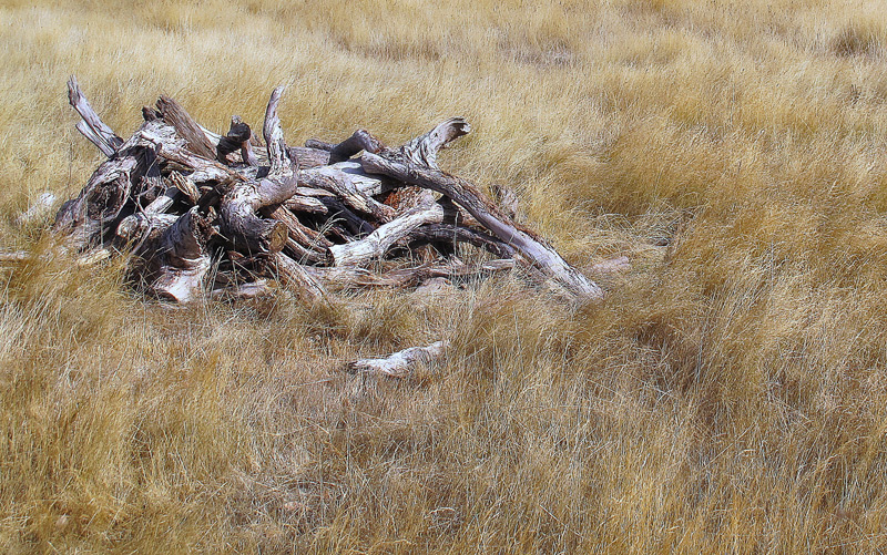 Rural Still Life