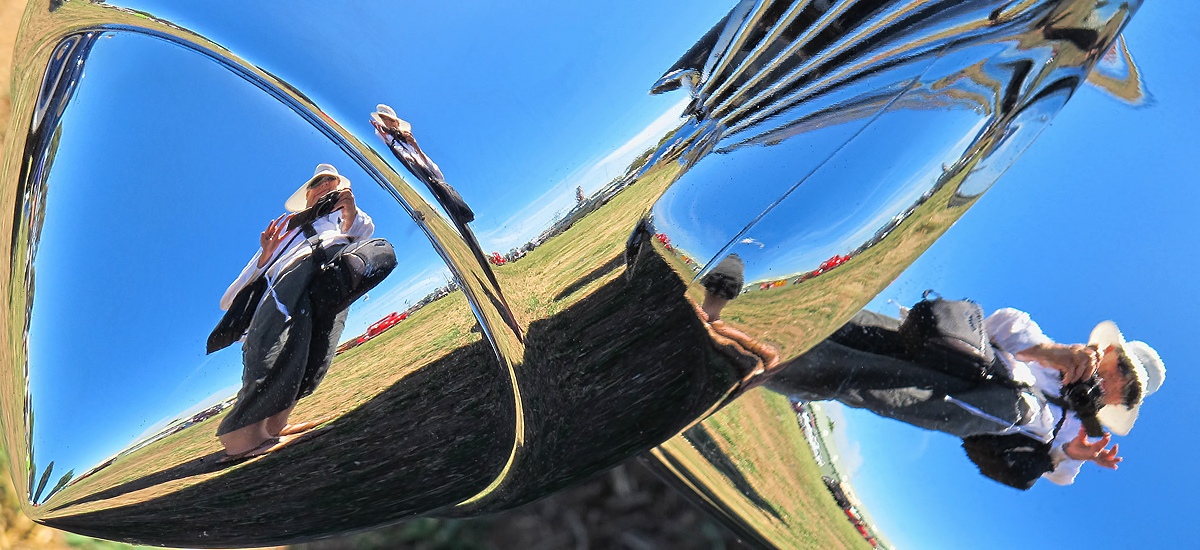 December Photo Essay: Reflecting on Automobiles