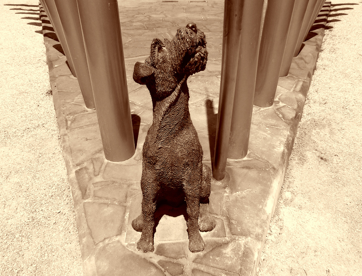 The Pikeman's Dog