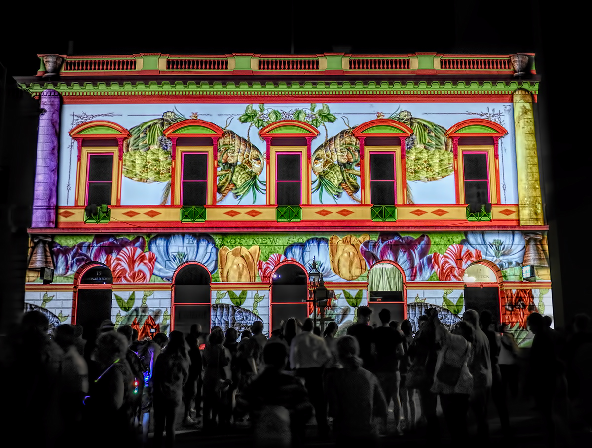 White Night 2018