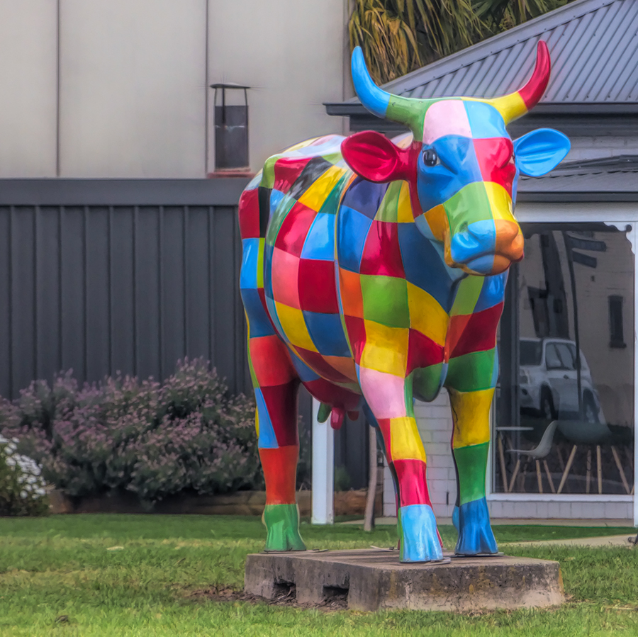 Check out the Cow