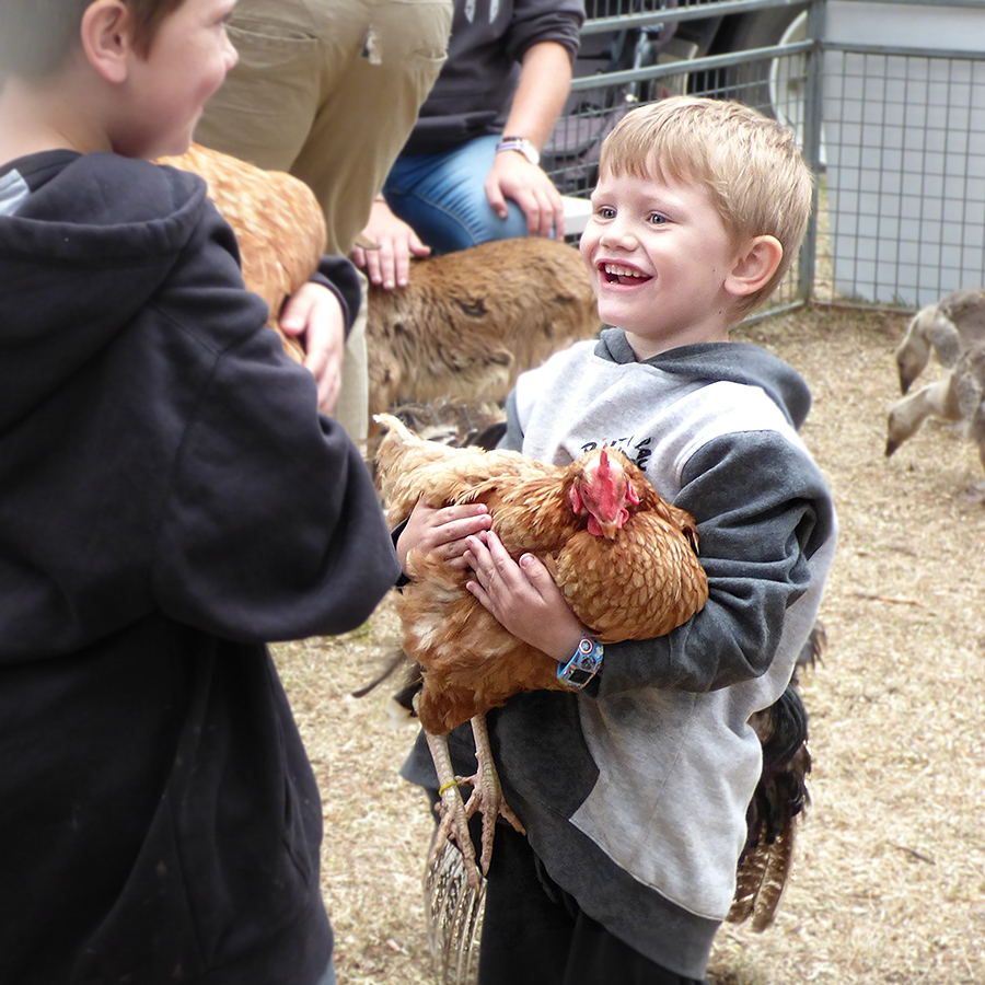 Happiness is an Armload of Chicken