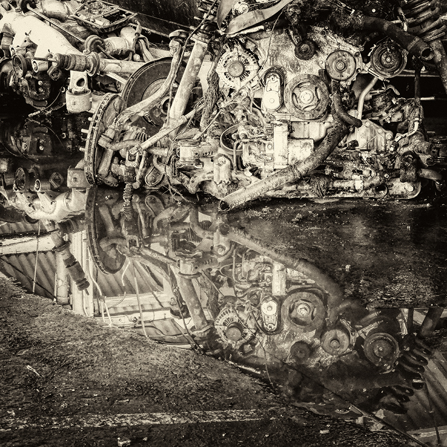 Entrails
