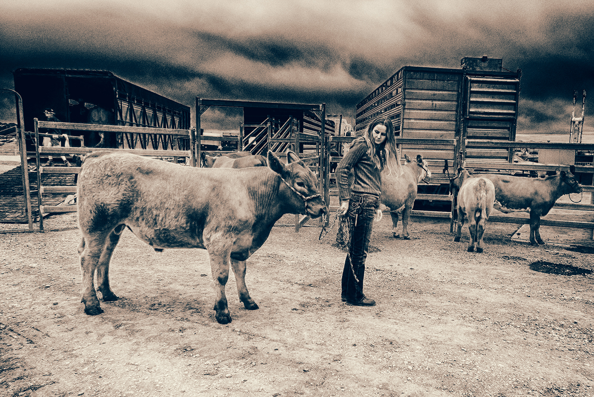 Girl with a young bull -cerulean, tearose