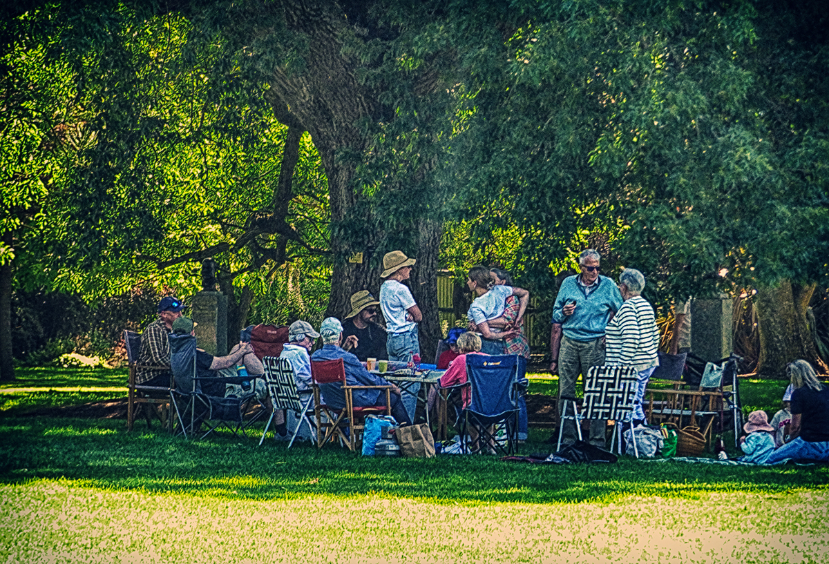 New Years Picnic