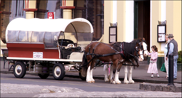 Queenscliff-carriage..jpg