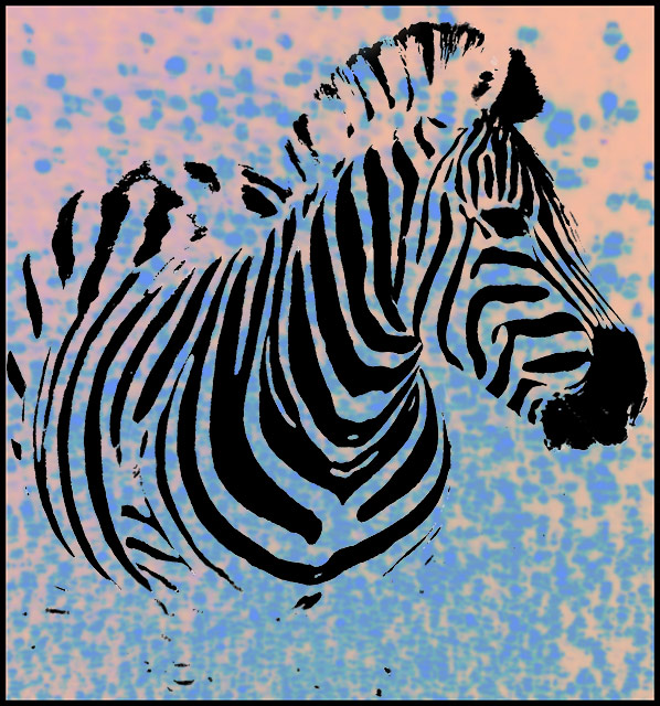 Zebra.jpg