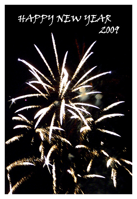 New-Year-2009-094.jpg