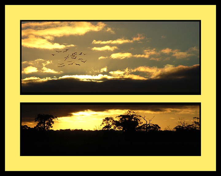 sunset-003-diptych-.jpg