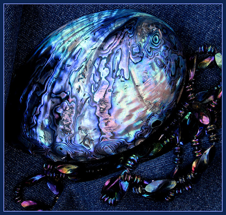 Indigo-and-Iridescence..jpg