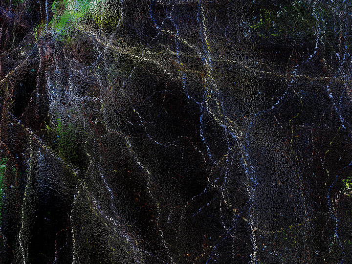 Willow-Branches,-bc,-or..jpg