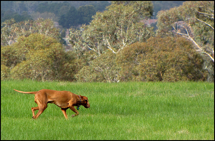 In-The-Field.jpg