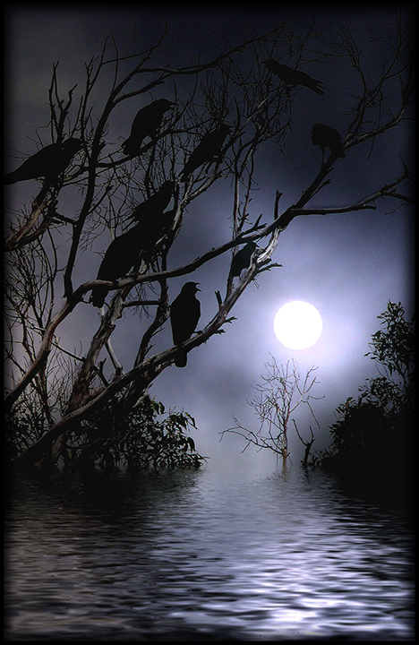 Moonrise-Crows.jpg