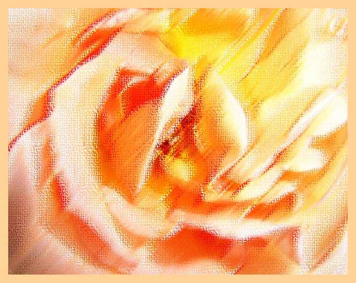 Pastel-Rose-2.jpg