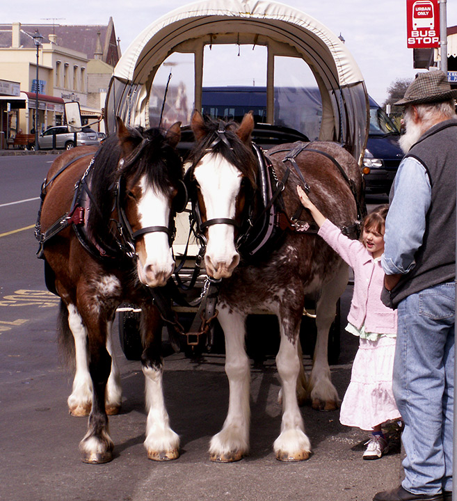 Queenscliff--horsecarriage-.jpg