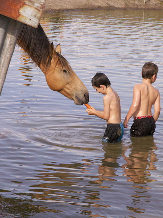 dam-good-fun-020.jpg-original.jpg
