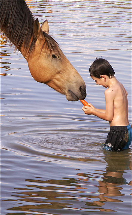 dam-good-fun-020.jpg