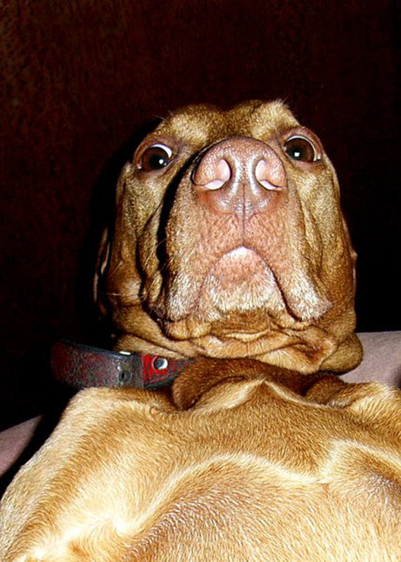 Tisa,-wierd-poser-004-1.jpg