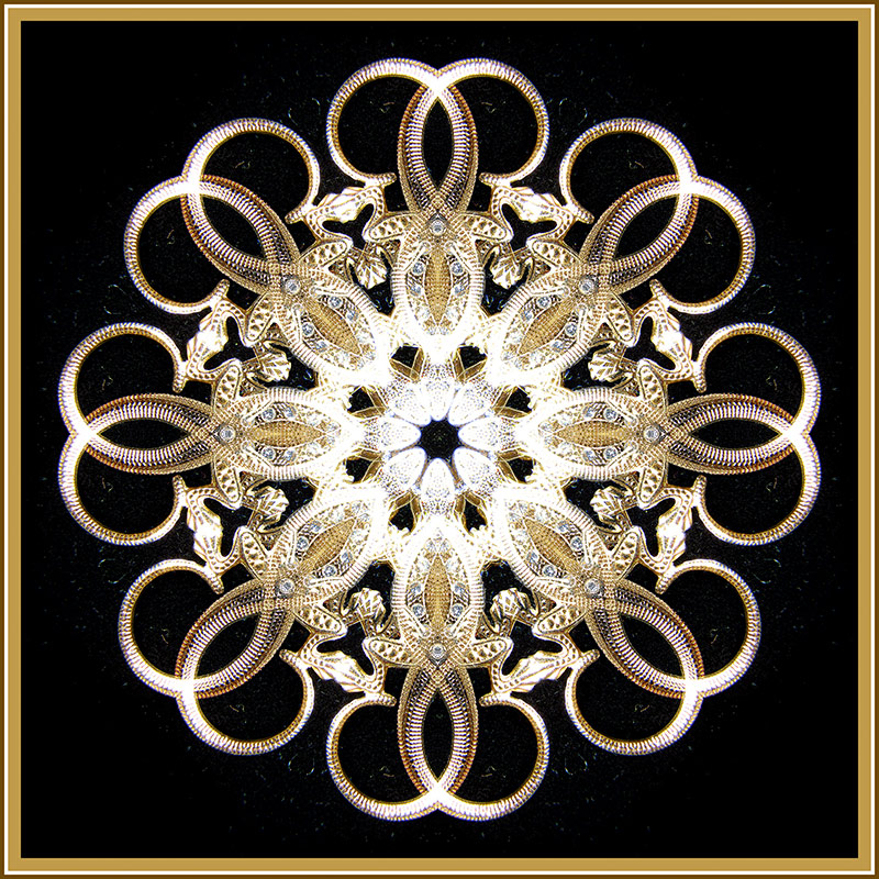 lizard-brooch-001-copy.jpg