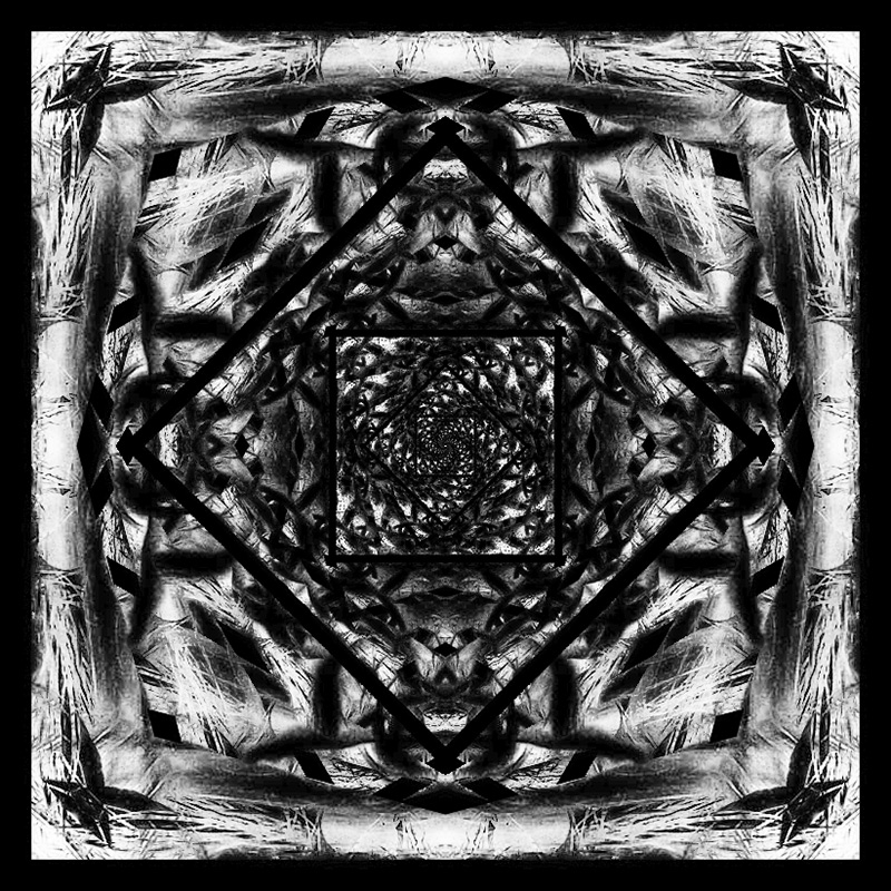 Marion-014--flip,-rotate.spiral,flip.jpg