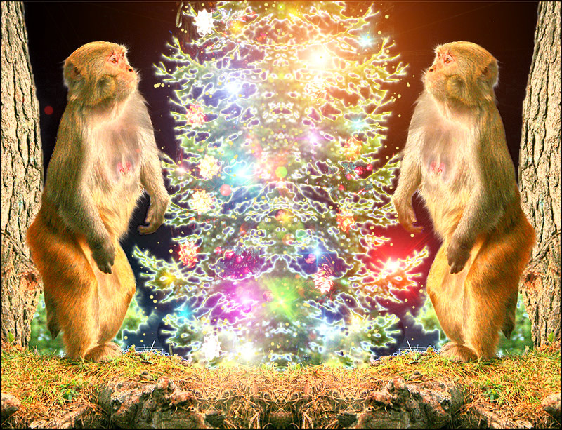 UrfaTheGreat's Monkey Christmas
