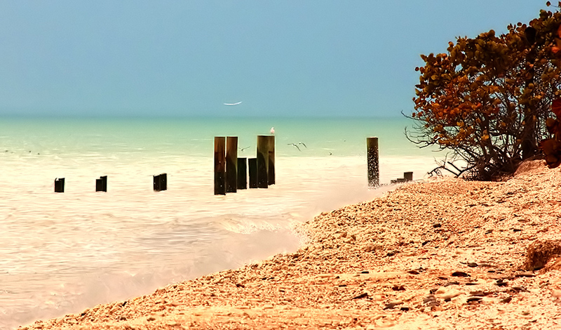 Ja_9's  Beach