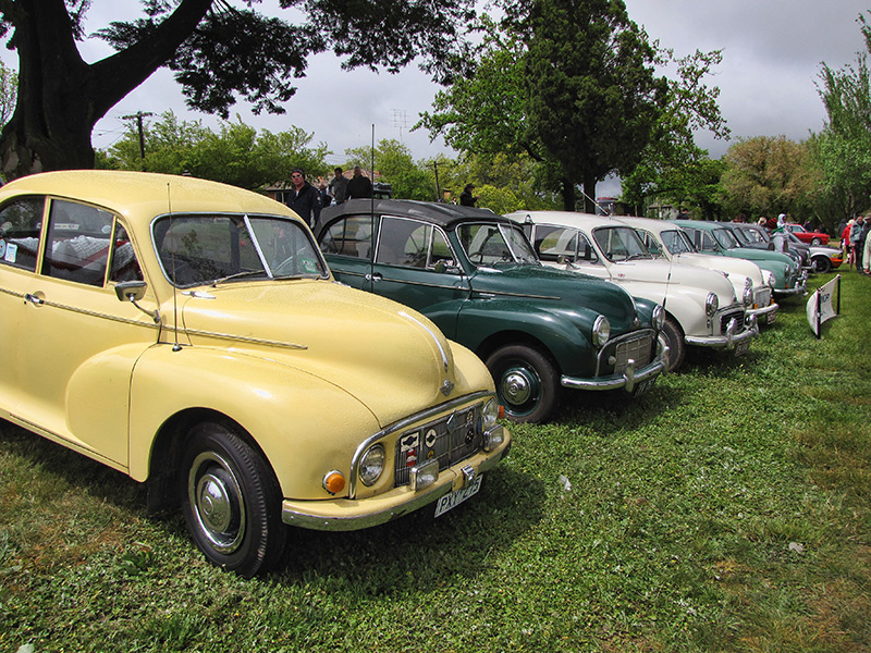 Morris-Minors