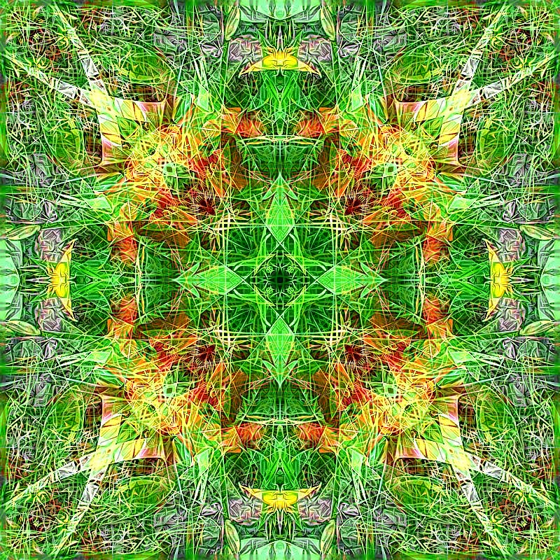 Iris Jungle