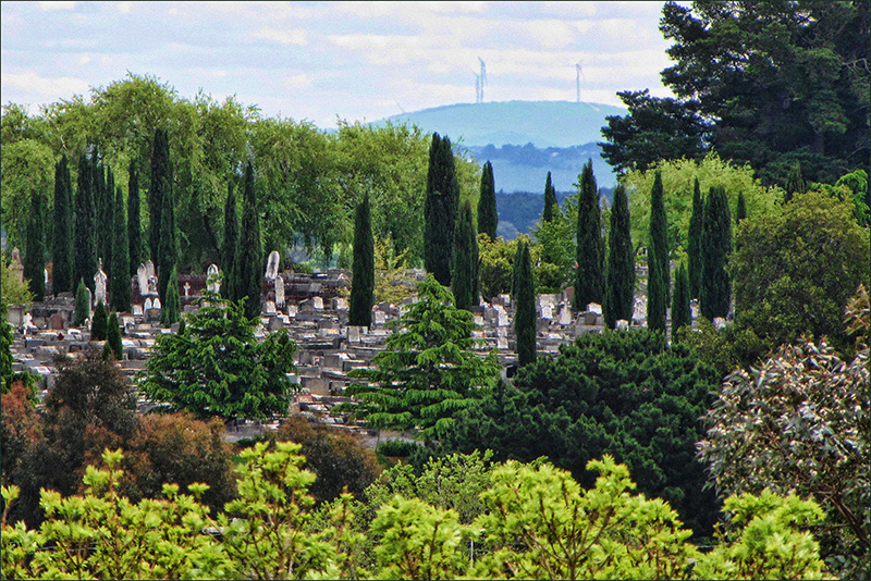 Cemetery
