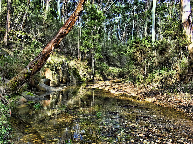 Slatey-Creek-1-006