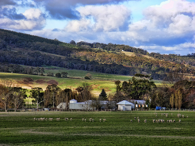 Happy Valley Farm