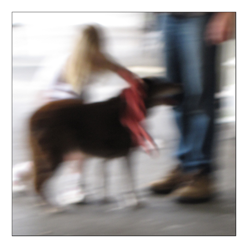 The Red Leash