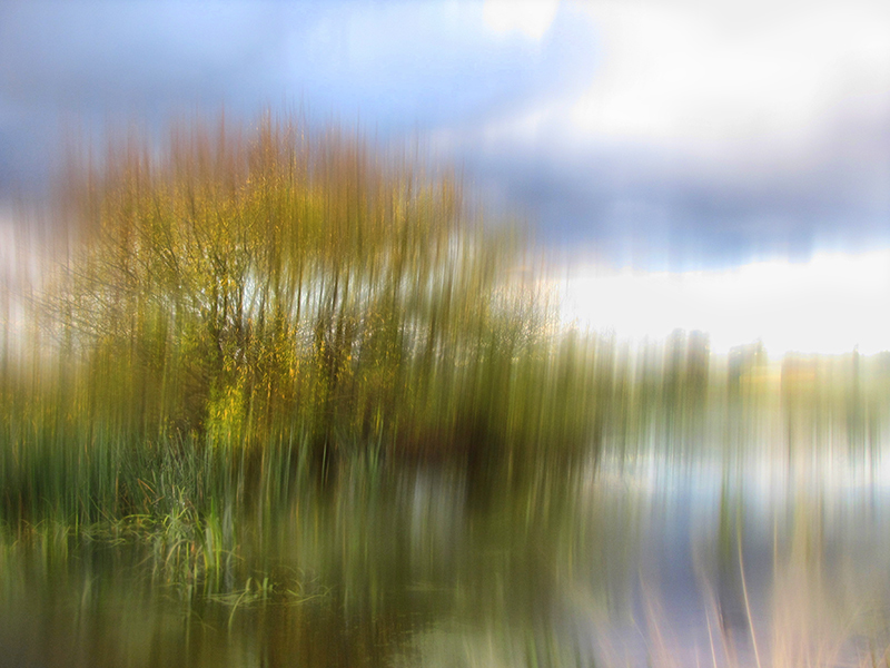 Wendouree Willows