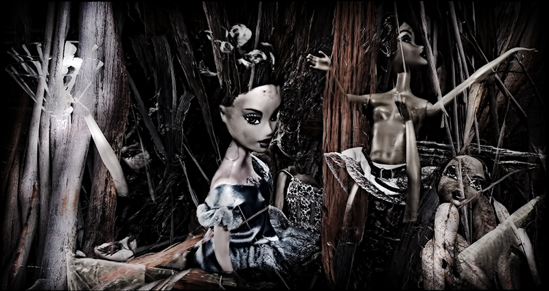 Barbs in the Wood