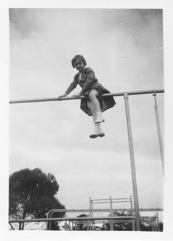 Monkey-Bars-Marion