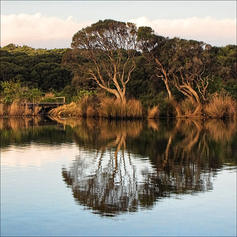 Anglesea River
