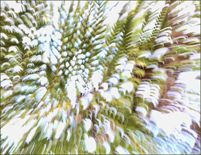 Nikon,-movement-blur-016-copy
