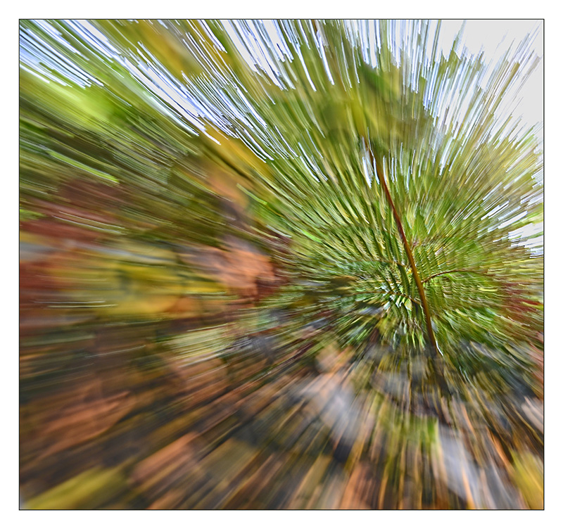 Nikon,-movement-blur-017