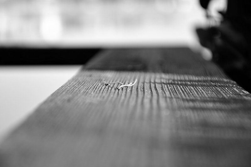 PP-DSC_0181.jpg