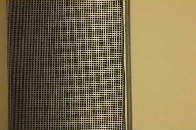 LiveView005-1.0X.jpg