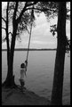 Rope Swing