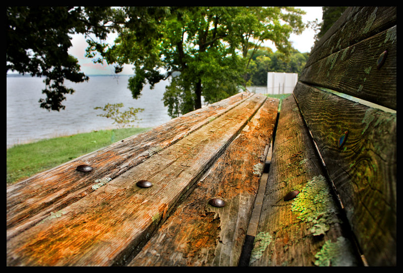 Empty Bench