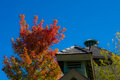 Fall_Sky.jpg