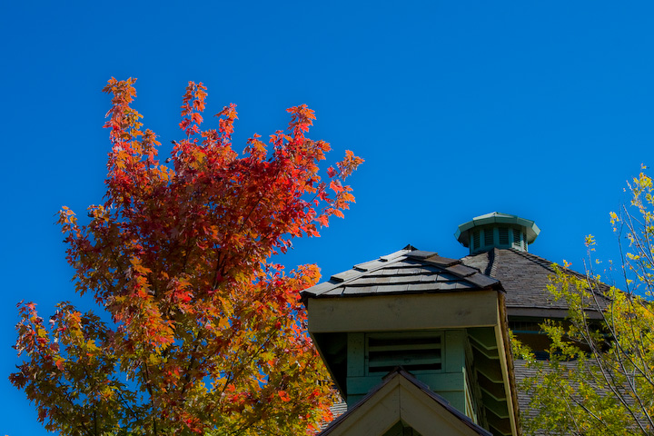 Fall_Sky.jpg