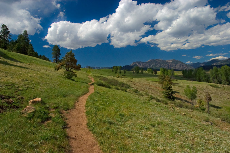 Mountain_Trail
