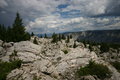 Yellowstone 254