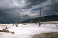  Yellowstone 280