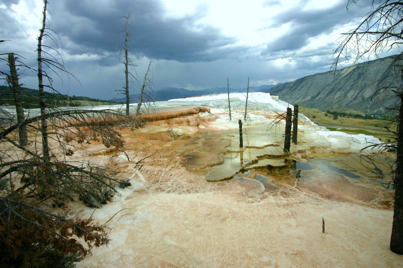 Yellowstone 120