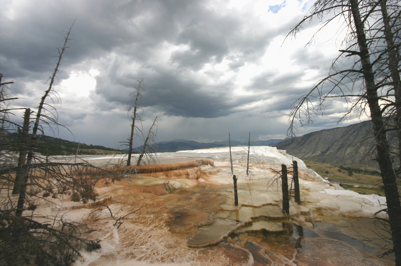 Yellowstone 139