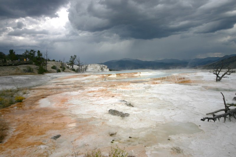  Yellowstone 146